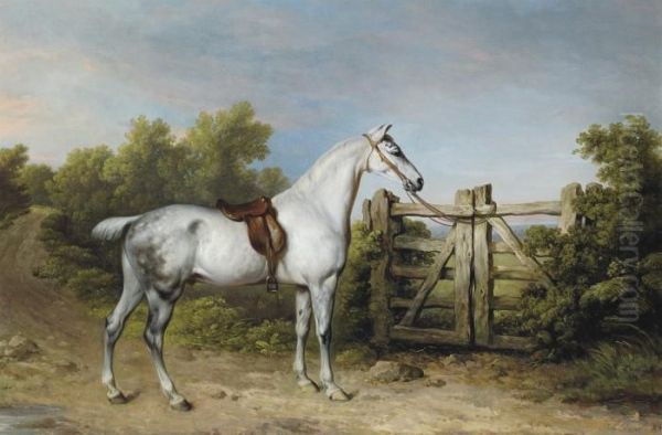 Sir Charles Mordaunt's Grey Hunter Oil Painting by Philip Reinagle