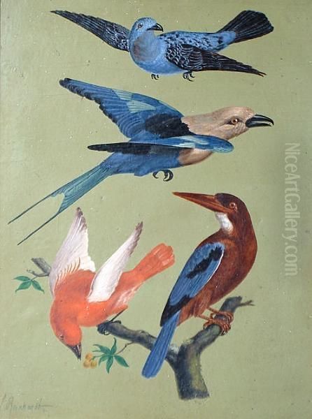 Exotic Birds 'l Reinhardt' (lower Left) Oil Painting by Louis, Ludwig Reinhardt