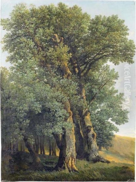 Study Of Trees In A Landscape Oil Painting by Johann Christian Reinhart