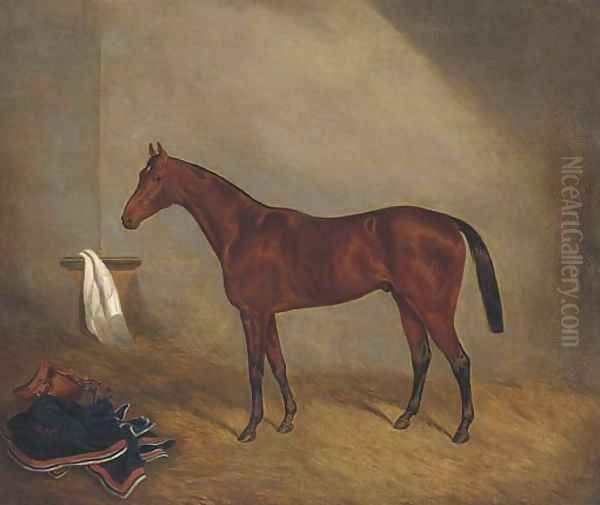 A bay racehorse in a stable Oil Painting by Joshua Dighton