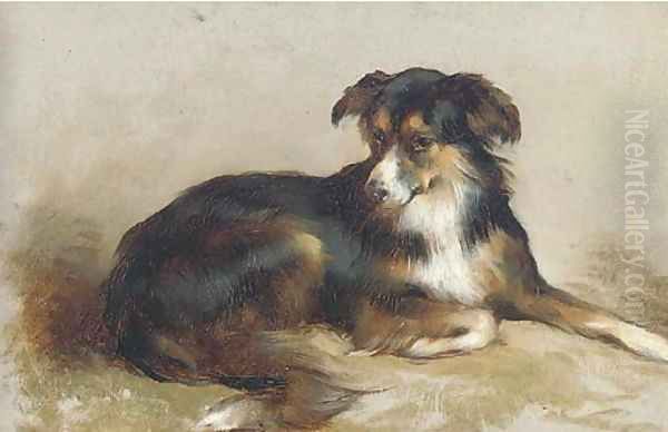 A collie Oil Painting by Edwin Douglas