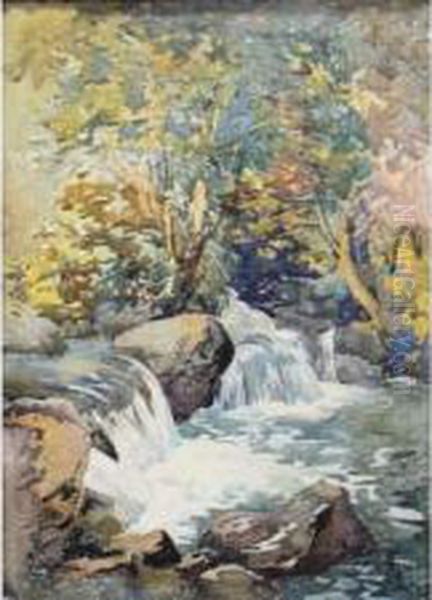 Cascade Dans Le Oued Oil Painting by Alphonse Rey