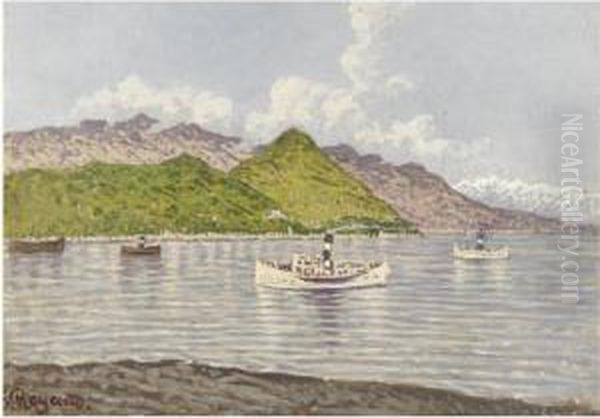 Vaporetti Sul Lago Maggiore Oil Painting by Enrico Reycend