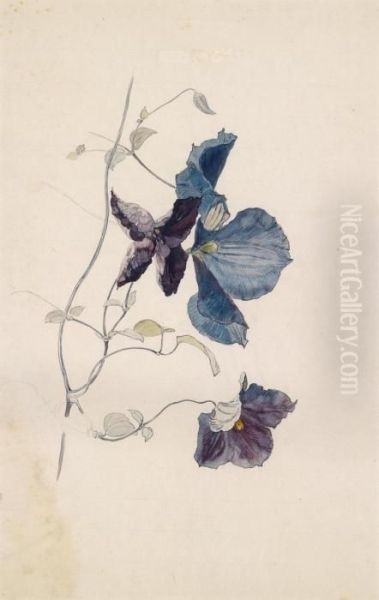 Blue Clematis Oil Painting by Rudolf Ribarz