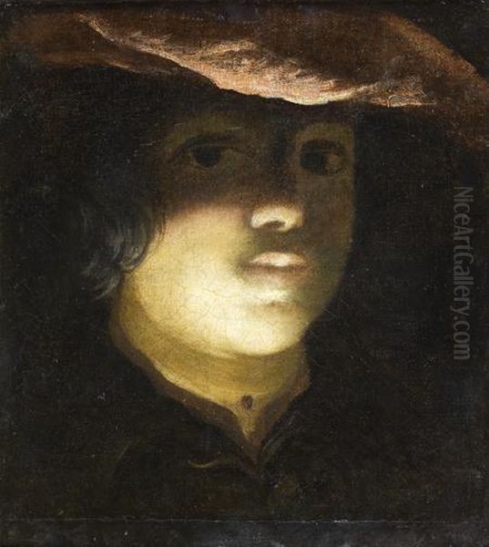 Jeune Homme Au Beret Rose Oil Painting by Pietro della Vecchia