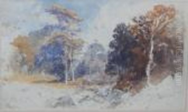 In The Forest Of Ballochbowie, Aberdeenshire Oil Painting by Thomas Miles Richardson