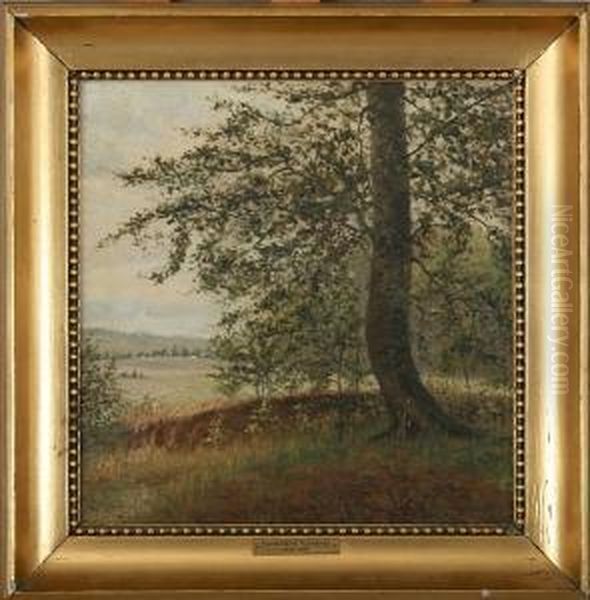 The Edge Of A Forest. Signed Richardt Oil Painting by Ferdinand Reichardt