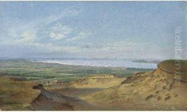 Vue Panoramique D'une Cote Oil Painting by Ferdinand Reichardt