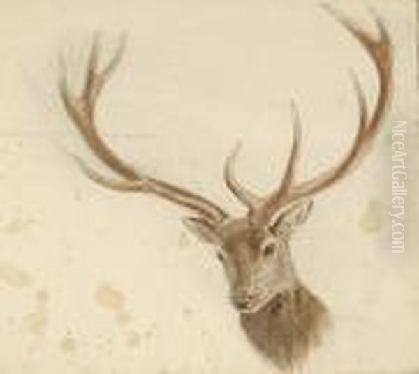 Study For The Head Of A Stag, Together With 4 Other Animal Studies By The Same Hand Oil Painting by Josef Wolft Richter