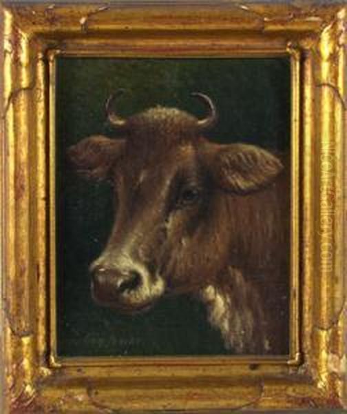 Portrait Of A Cow Oil Painting by George A.E., Geo Riecke