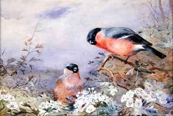 A Pair of Bullfinches Amongst the Blossom Oil Painting by Otto Murray Dixon