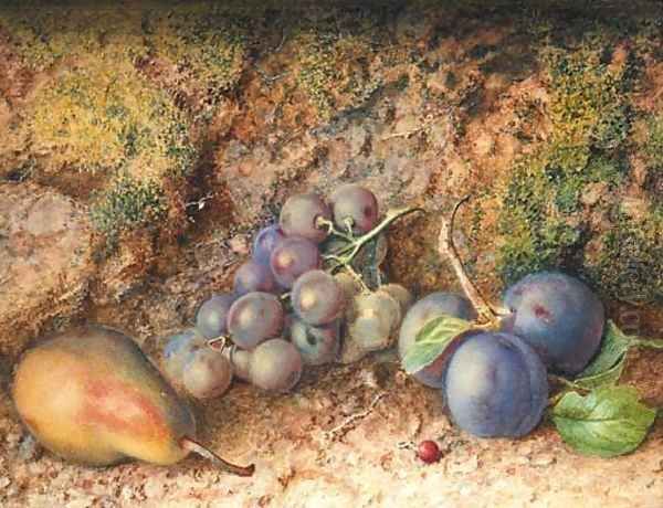 Still life with Grapes, Plums and a Pear on a mossy Bank Oil Painting by Philip Dolan