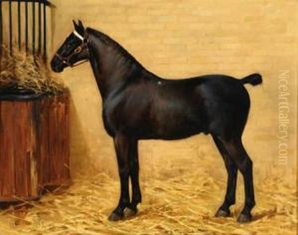 Black Hunter In A Loosebox Oil Painting by Ernest Higgins Rigg