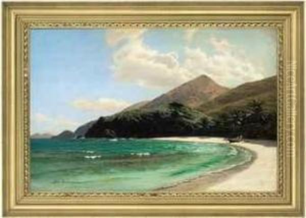 A Beach On Saint Thomas, Us Virgin Islands Oil Painting by Andreas Christian Riis Carstensen