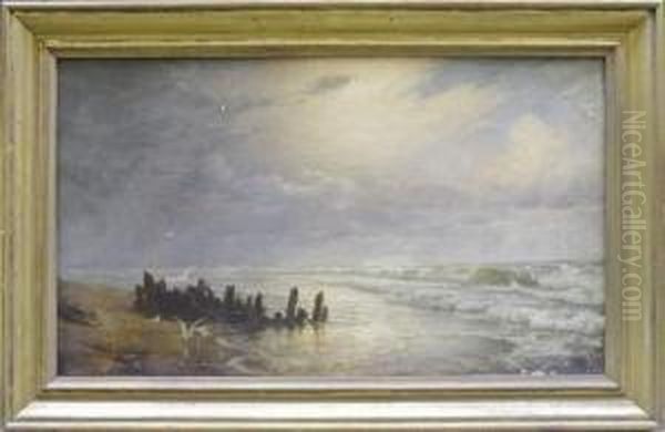 Bord De Mer Aux Mouettes Oil Painting by Andreas Christian Riis Carstensen