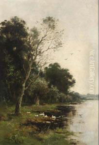 Ducks On The Waterfront Oil Painting by Willem Cornelis Rip