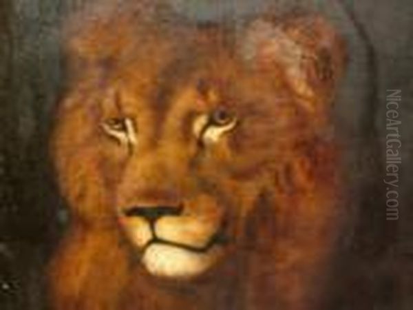 Study Of A Lion Oil Painting by Briton Riviere