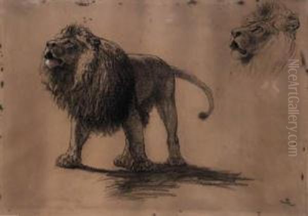 Lion Studies Oil Painting by Briton Riviere