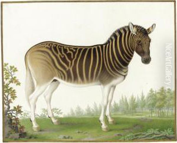 A Quagga Oil Painting by Nicolas Robert