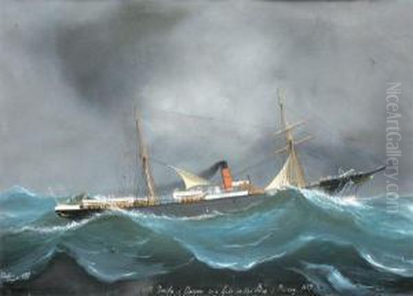  Ss Tarifa De Glasgow In A Gale In Bay Of Biscay 1887  Oil Painting by Luigi Roberto