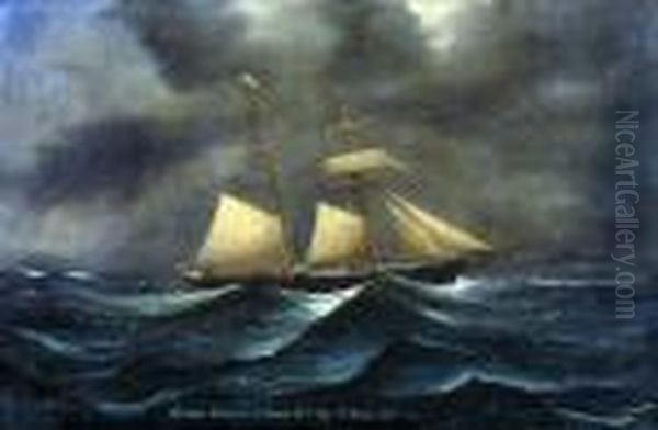 Schooner Mable Of St Johns Oil Painting by Luigi Roberto