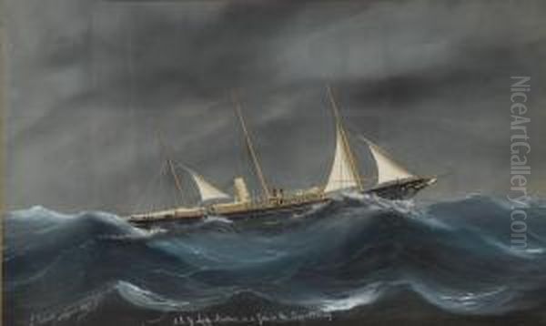 Ritratto Del Steam Yacht Lady Beatrice In Navigazione Oil Painting by Luigi Roberto