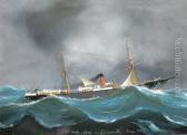 Ss Tarifa De Glasgow In A Gale In Bay Of Biscay Oil Painting by Luigi Roberto