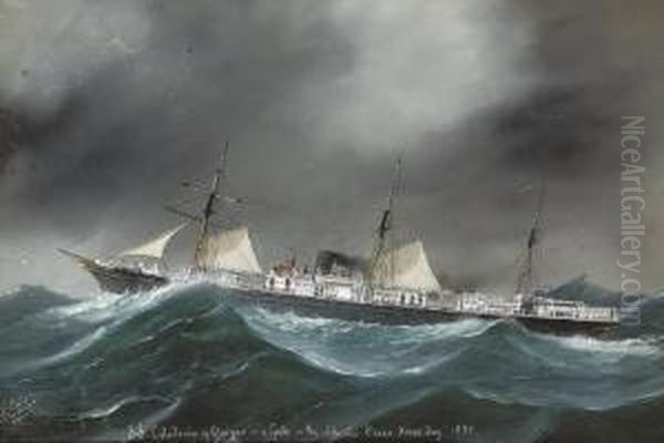 S.s. Oil Painting by Luigi Roberto