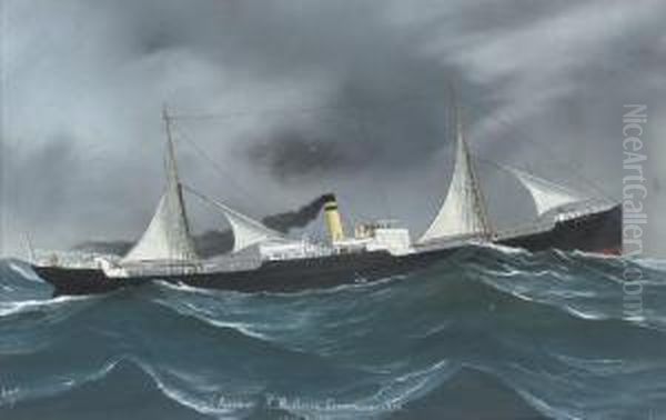 S.s. Oil Painting by Luigi Roberto