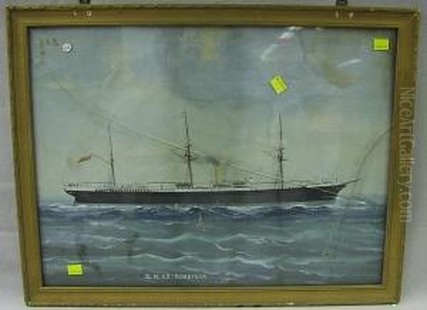 The Rmss Rimutaka. Oil Painting by Luigi Roberto