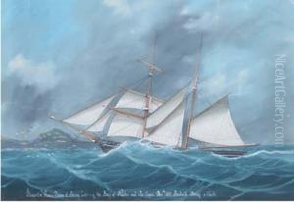 The Brigantine Prairie Flower Of Jersey Entering The Bay Ofnaples Oil Painting by Luigi Roberto