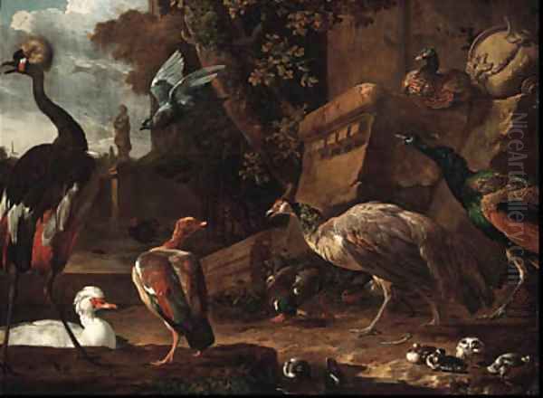 An East African Crane, a White Snow Goose, a Dutch Goose Oil Painting by Melchior D'Hondecoeter