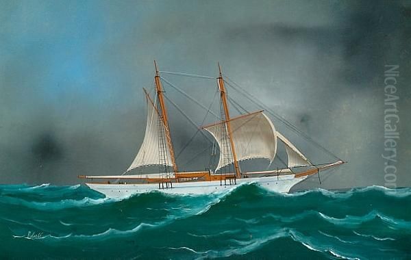 A Schooner In Open Seas Oil Painting by Luigi Roberto