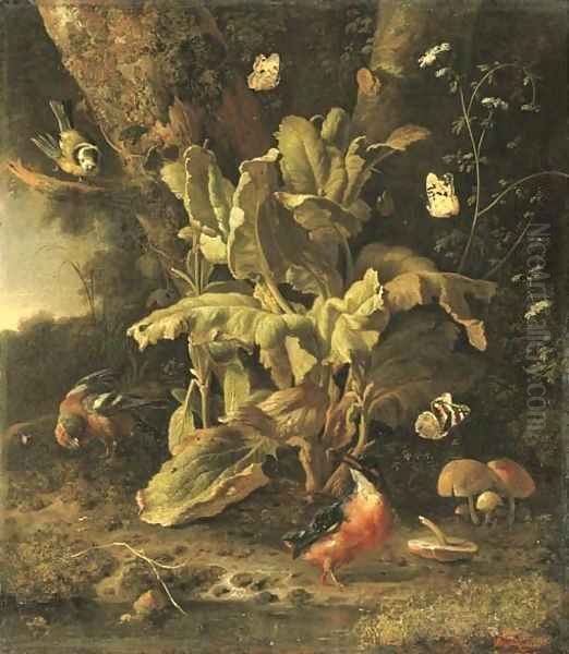 A forest floor still life with a blue tit Oil Painting by Melchior D'Hondecoeter