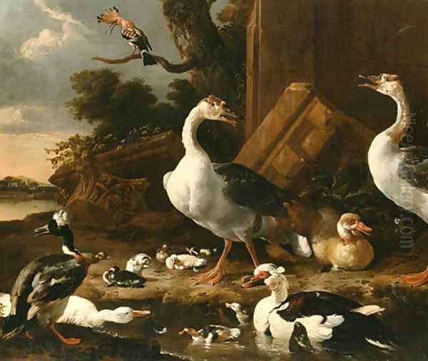 Chinese and Egyptian Geese Oil Painting by Melchior D'Hondecoeter