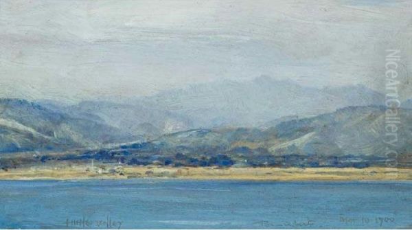 Hutt Valley Oil Painting by Tom Roberts