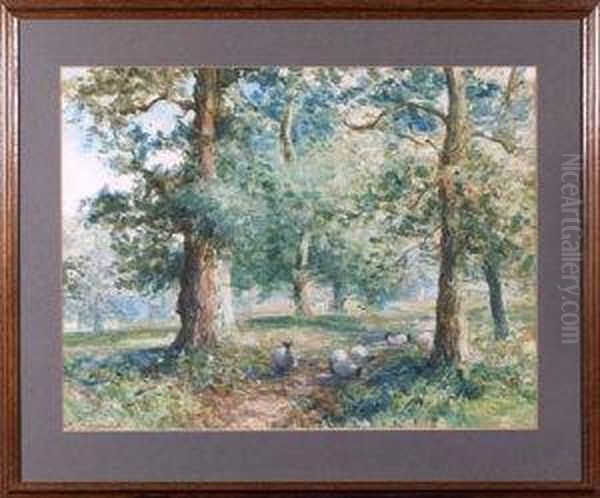 Sheep Grazing Among Trees Oil Painting by David Thomas Robertson