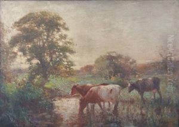 Three Cows Drinking At A Pool Oil Painting by David Thomas Robertson