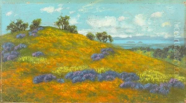 San Pablo Bay From San Rafael, Marin County, California Oil Painting by Charles Robinson