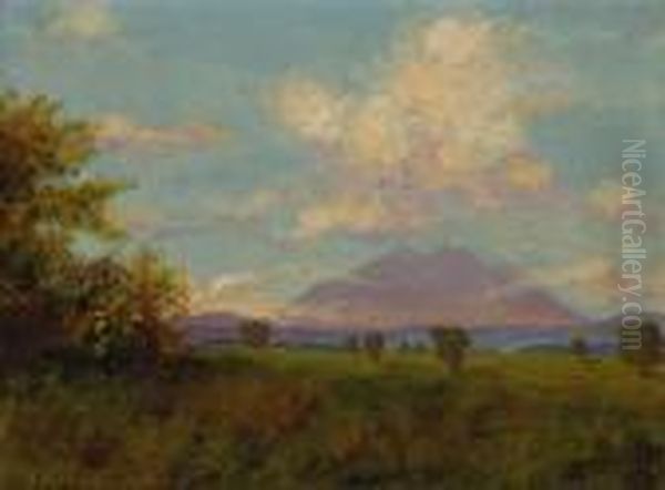 Mt. Diablo From Antioch Oil Painting by Charles Robinson