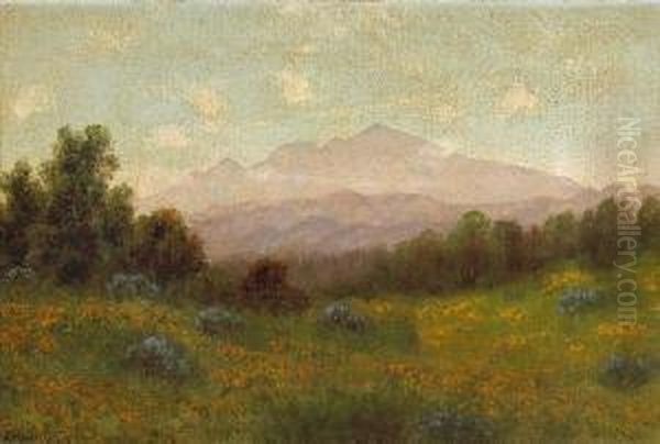 Poppies With Mt. Tamalpais In Thedistance Oil Painting by Charles Robinson