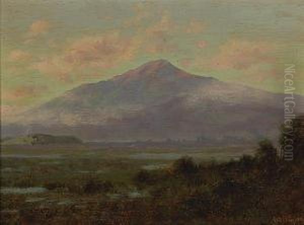 Mount Tamalpais From Greenbrae, Marincounty Oil Painting by Charles Robinson