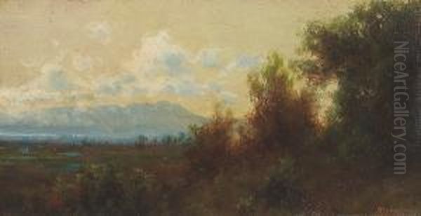 Mount Tamalpais From Near Richmond, California Oil Painting by Charles Robinson