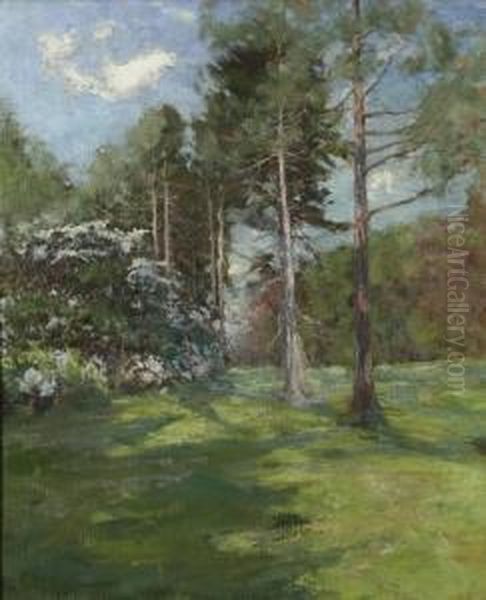 Spring Landscape Oil Painting by Hal Robinson