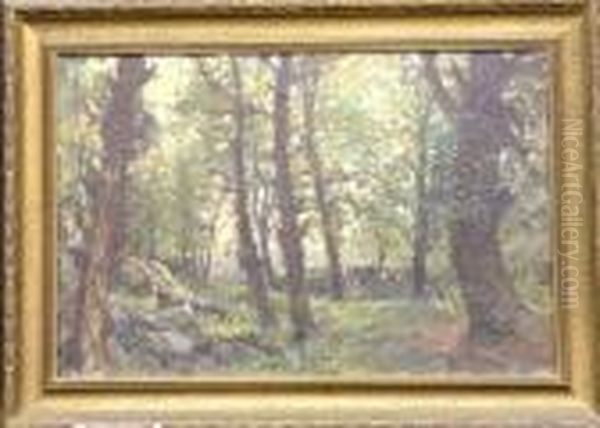 Forest Interior Oil Painting by Hal Robinson