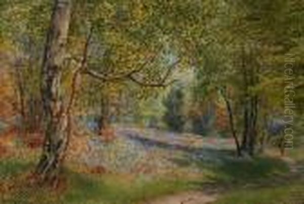 Bluebell Woods At Pott Shrigley, Cheshire Oil Painting by William Robinson