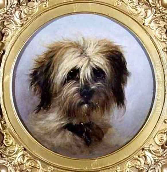 A Head of a Terrier Oil Painting by Agnes Dundas