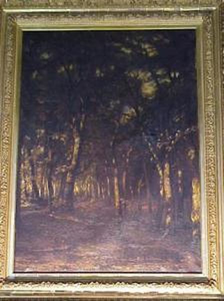 Forest Interior, Black Forest, Germany Oil Painting by Karl Rodeck