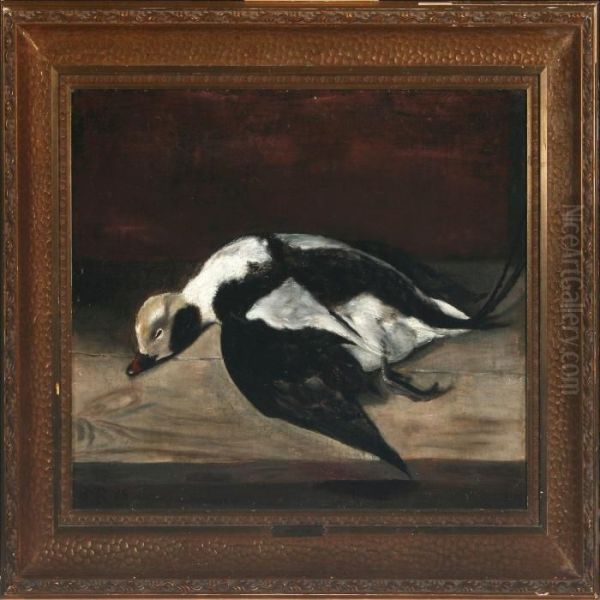 Long-tailed Duck Oil Painting by Jorgen Roed