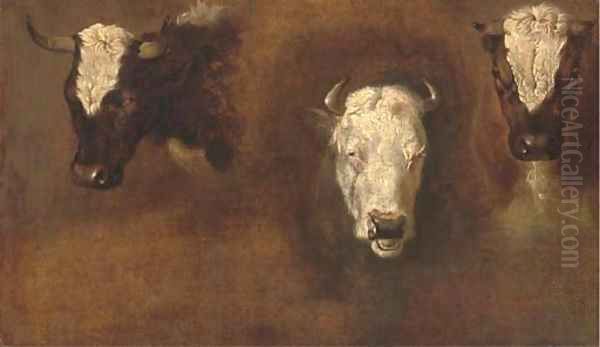 Three studies of bulls' heads Oil Painting by Simon van der Does